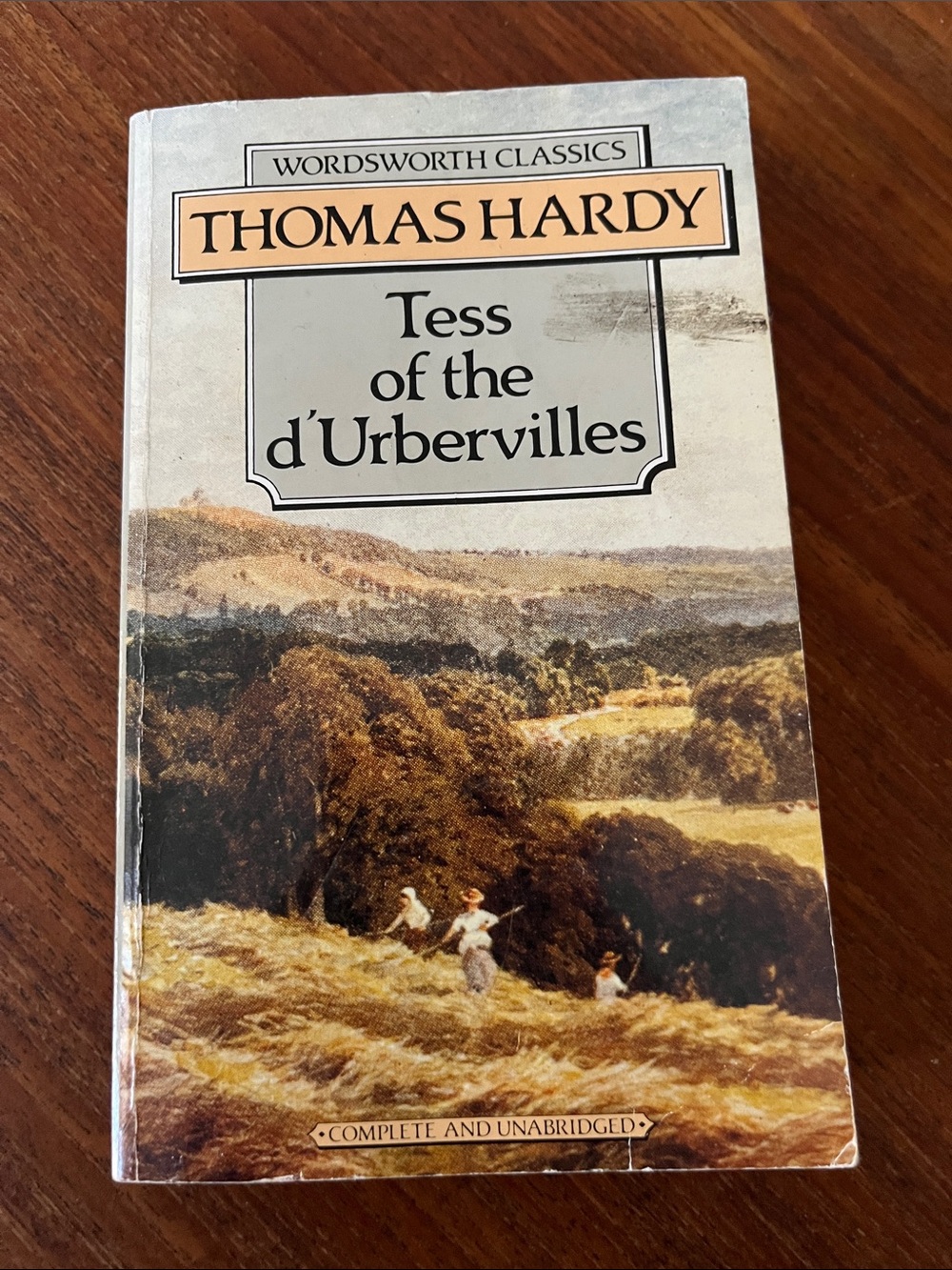 📚 3/$15 📚 Thomas Hardy Tess of the d'Urbervilles - paperback fiction